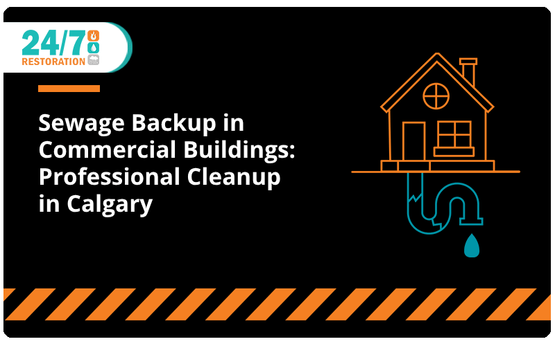 Sewage Backup in Commercial Buildings: Professional Cleanup in Calgary 
